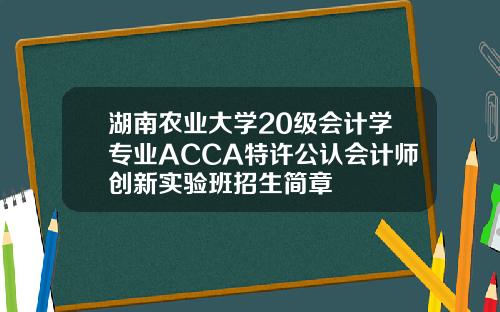 湖南农业大学20级会计学专业ACCA特许公认会计师创新实验班招生简章
