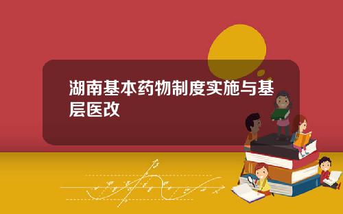 湖南基本药物制度实施与基层医改