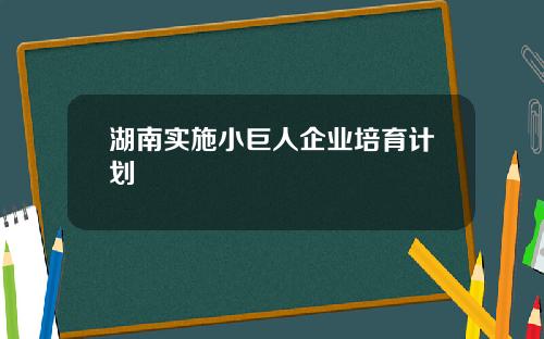湖南实施小巨人企业培育计划