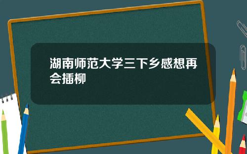 湖南师范大学三下乡感想再会插柳