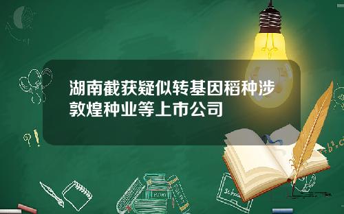 湖南截获疑似转基因稻种涉敦煌种业等上市公司