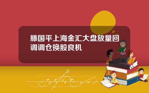 滕国平上海金汇大盘放量回调调仓换股良机