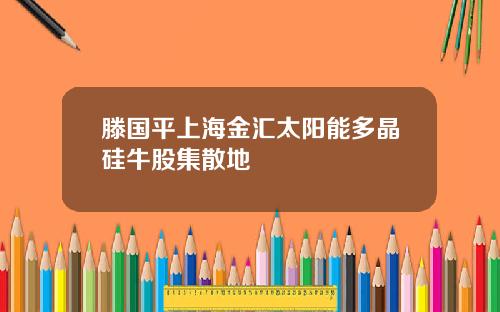 滕国平上海金汇太阳能多晶硅牛股集散地