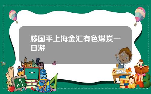 滕国平上海金汇有色煤炭一日游