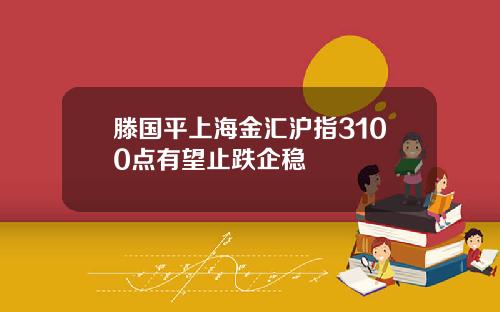 滕国平上海金汇沪指3100点有望止跌企稳