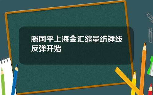 滕国平上海金汇缩量纺锤线反弹开始