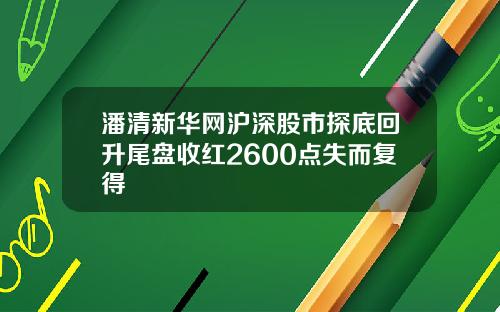 潘清新华网沪深股市探底回升尾盘收红2600点失而复得