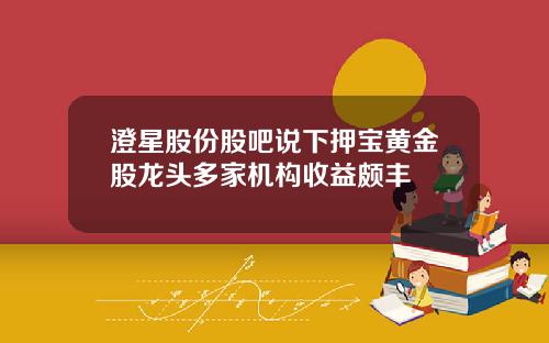 澄星股份股吧说下押宝黄金股龙头多家机构收益颇丰