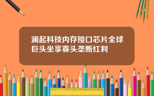 澜起科技内存接口芯片全球巨头坐享寡头垄断红利