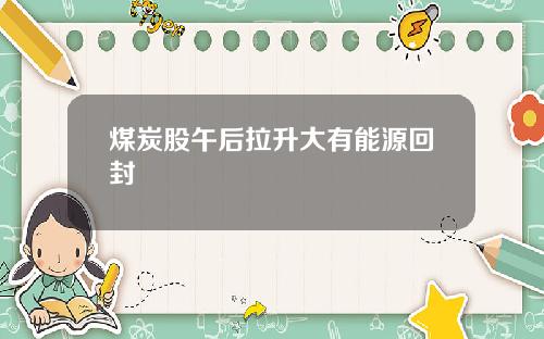 煤炭股午后拉升大有能源回封