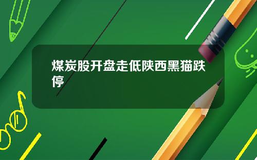 煤炭股开盘走低陕西黑猫跌停