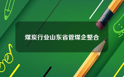 煤炭行业山东省管煤企整合