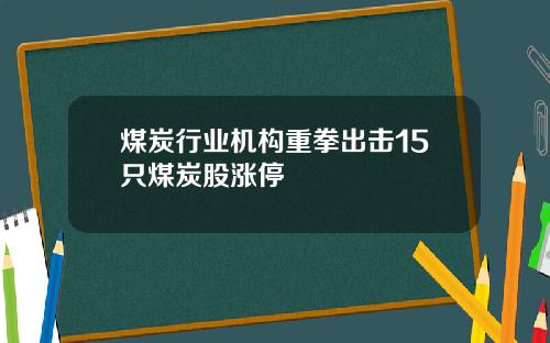 煤炭行业机构重拳出击15只煤炭股涨停