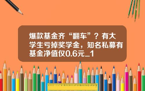 爆款基金齐“翻车”？有大学生亏掉奖学金，知名私募有基金净值仅0.6元_1