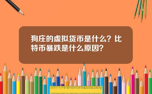 狗庄的虚拟货币是什么？比特币暴跌是什么原因？
