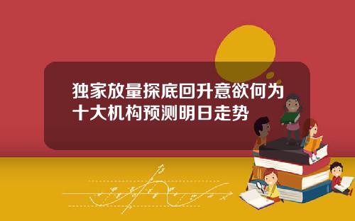 独家放量探底回升意欲何为十大机构预测明日走势