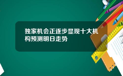 独家机会正逐步显现十大机构预测明日走势