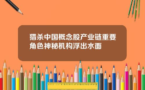 猎杀中国概念股产业链重要角色神秘机构浮出水面