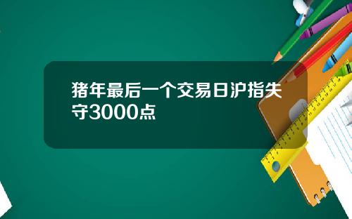 猪年最后一个交易日沪指失守3000点
