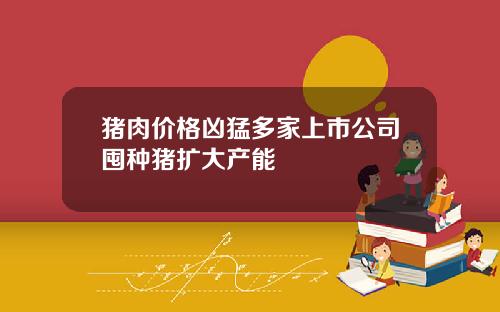 猪肉价格凶猛多家上市公司囤种猪扩大产能