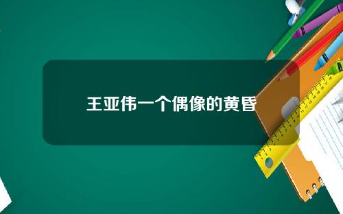王亚伟一个偶像的黄昏