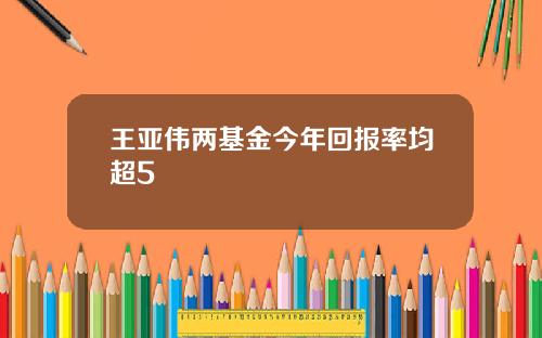 王亚伟两基金今年回报率均超5