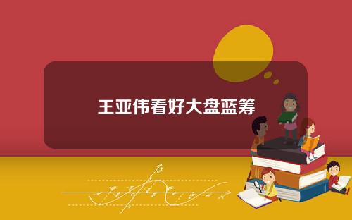 王亚伟看好大盘蓝筹