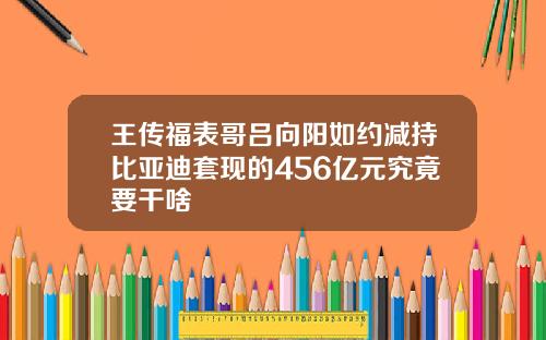 王传福表哥吕向阳如约减持比亚迪套现的456亿元究竟要干啥