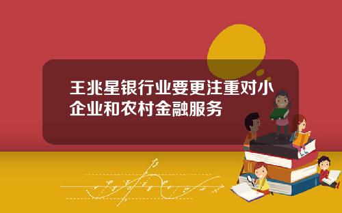 王兆星银行业要更注重对小企业和农村金融服务