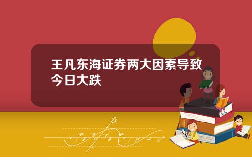王凡东海证券两大因素导致今日大跌