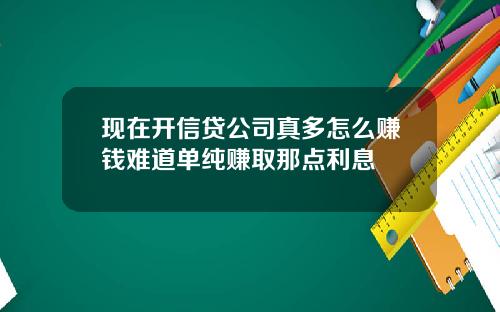 现在开信贷公司真多怎么赚钱难道单纯赚取那点利息