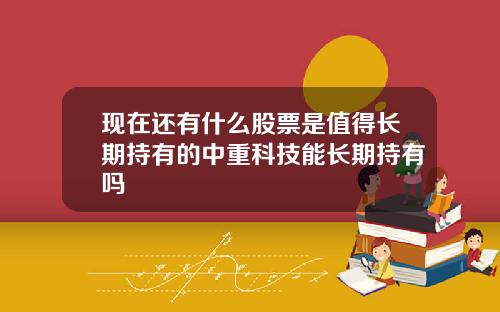 现在还有什么股票是值得长期持有的中重科技能长期持有吗