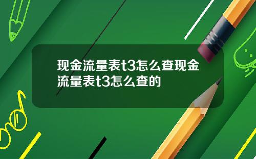 现金流量表t3怎么查现金流量表t3怎么查的