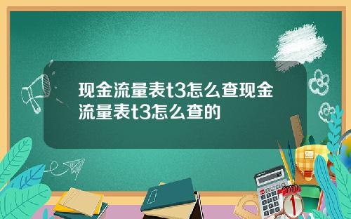现金流量表t3怎么查现金流量表t3怎么查的