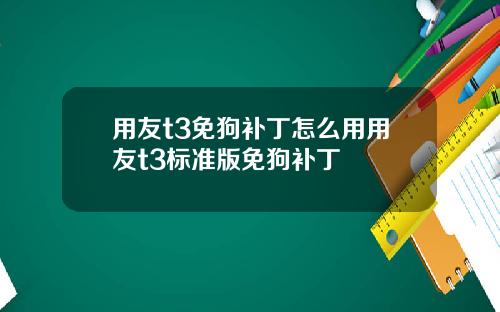 用友t3免狗补丁怎么用用友t3标准版免狗补丁
