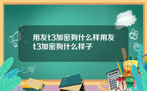用友t3加密狗什么样用友t3加密狗什么样子