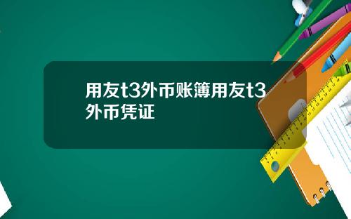 用友t3外币账簿用友t3外币凭证