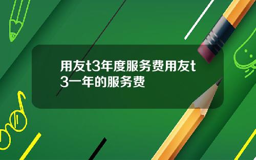 用友t3年度服务费用友t3一年的服务费