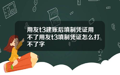 用友t3建账后填制凭证用不了用友t3填制凭证怎么打不了字