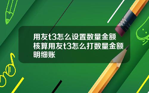 用友t3怎么设置数量金额核算用友t3怎么打数量金额明细账