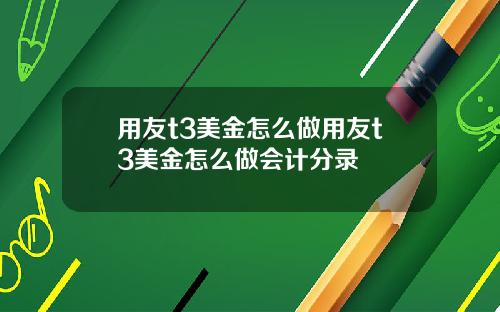 用友t3美金怎么做用友t3美金怎么做会计分录