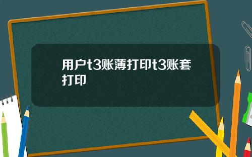 用户t3账薄打印t3账套打印