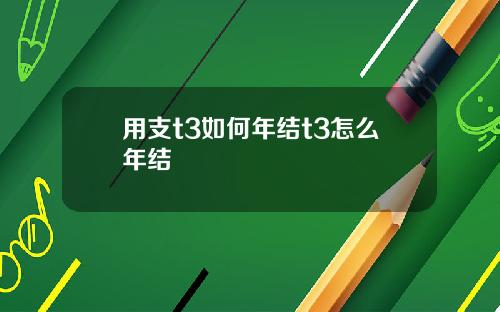 用支t3如何年结t3怎么年结