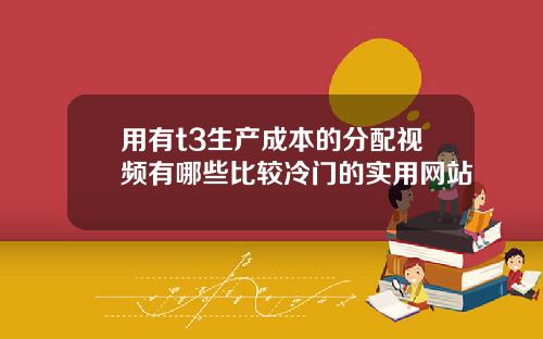 用有t3生产成本的分配视频有哪些比较冷门的实用网站