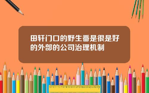 田轩门口的野生番是很是好的外部的公司治理机制