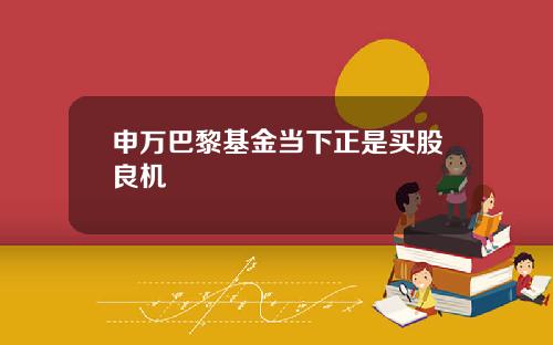 申万巴黎基金当下正是买股良机