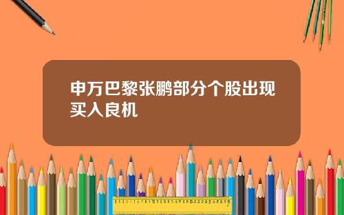 申万巴黎张鹏部分个股出现买入良机