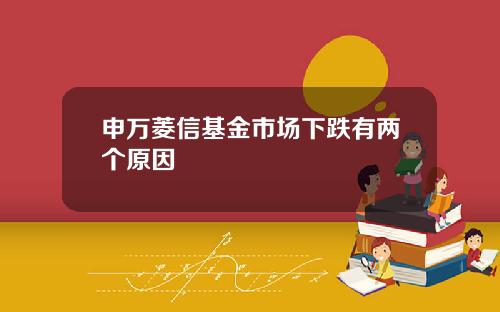 申万菱信基金市场下跌有两个原因
