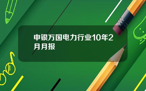 申银万国电力行业10年2月月报