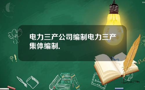 电力三产公司编制电力三产集体编制.